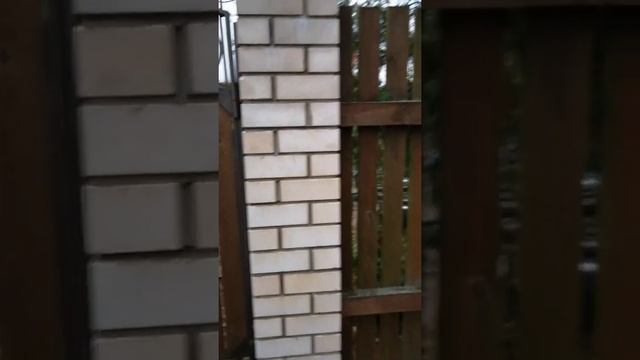 Забор который можно выполнить с двумя извилинами