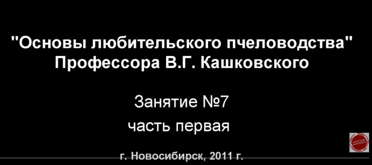 Курсы В Г Кашковского. Занятие №7_1