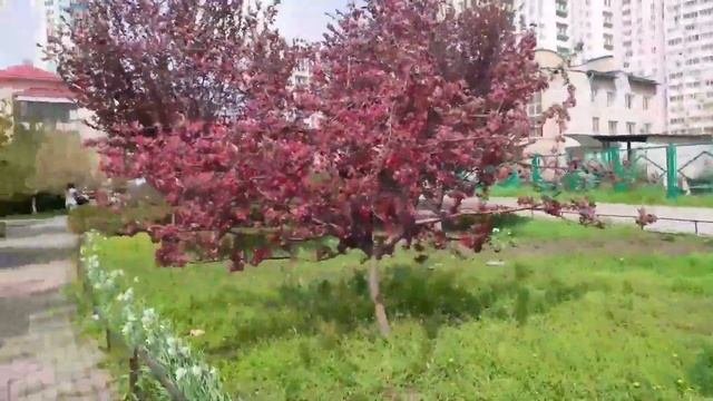 Ростов на Дону.Нашла что хотела.Левенцовка.Вечер.