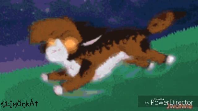 Коты - Воители. Эти роли не для нас.