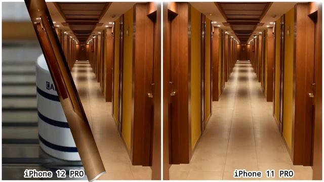 IPhone 12 Pro Vs IPhone 11 Pro Portrait Mode Camera Test