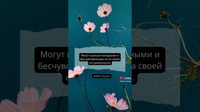 Знак зодиака ВОДОЛЕЙ ♒️ ХАРАКТЕРИСТИКА ??❤️