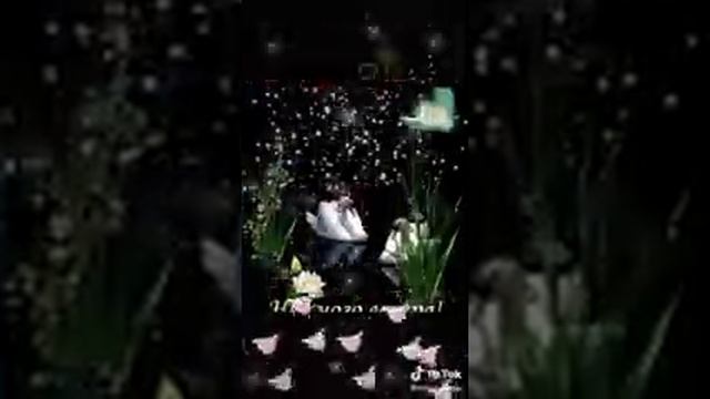 Ночь постучится в окно