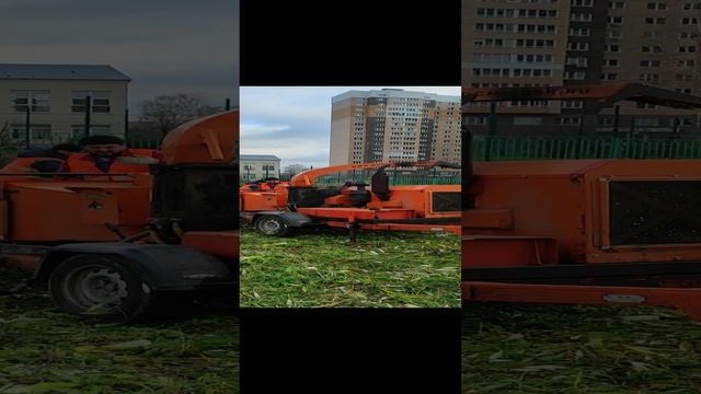 Измельчение порубочных остатков Солнечногорск
