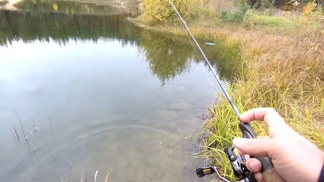 Мормышинг. Ротаны лесного озера.