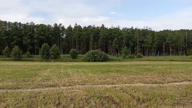 Лайфхак та Ультра налаштування для EQUINOX + повчальна історія для свинорилів