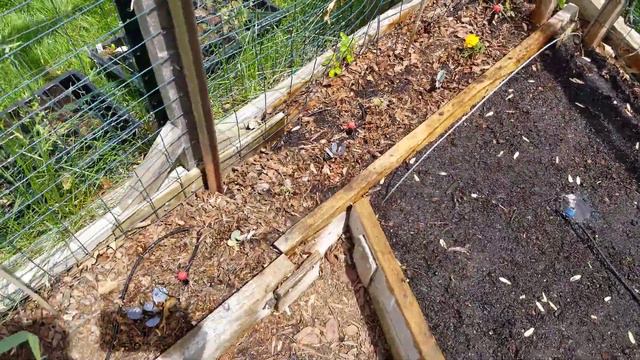 MIXC Irrigation System installed.