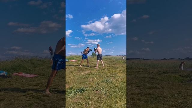 petal_20230620_181222.mp4