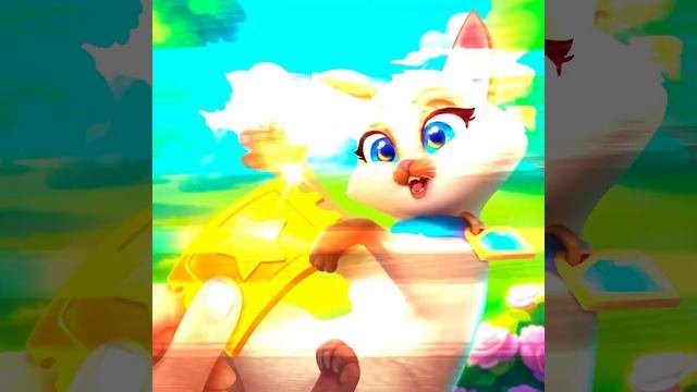 VID_20240519_114605_418.mp4