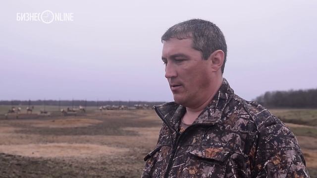 Репортаж недели #73: Алтайские маралы и сибирские косули в лесах РТ