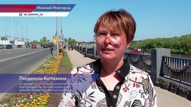 Более миллиона цветов украсят улицы и общественные пространства Нижнего Новгорода в этом году