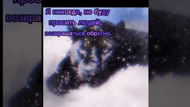 💫Статусысосмыслом💫