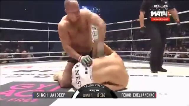 Фёдор Емельяненко и Джайдип Сингх