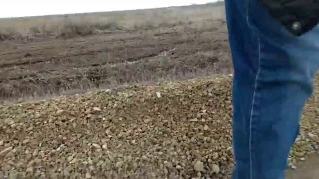 Вдоль дороги. Чёрт-те что! Село Кизильское 10.04.2024 год. Кизильский район. Челябинская область.