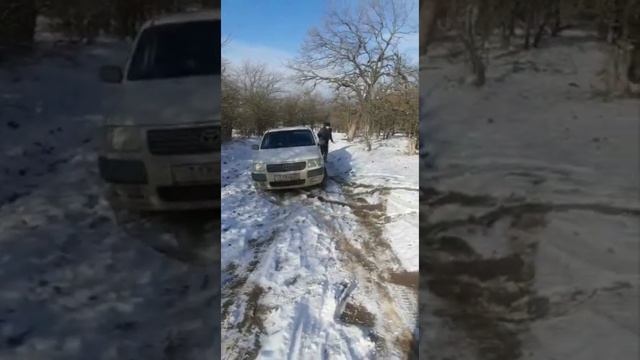 Тойота саксид  4вд  зимой в лесу