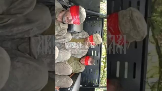 Хор мальчиков-зайчиков