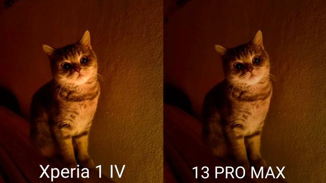 SONY XPERIA 1 IV VS IPHONE 13 PRO MAX | NIGHT MODE | CAMERA TEST