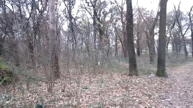 БЕЛАЯ ЦЕРКОВЬ ГАЁК ОСЕНЬ ЧАСТЬ ВТОРАЯ