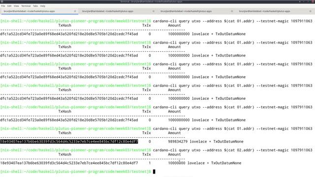 PPP 030306   Deploying to the Cardano Testnet