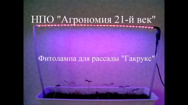 Лампа светодиодная для рассады с ножками "Гакрукс" от НПО "Агрономия 21-й век"