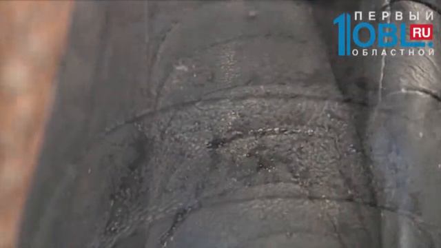 Что купить. (Пособие для покупателя) — Куртки