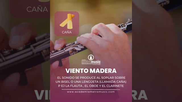 Instrumentos de Viento - Clasificación