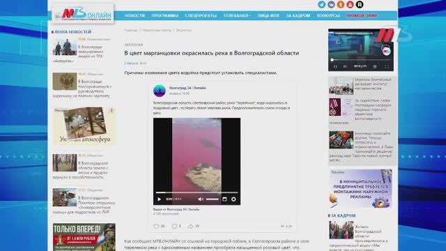 Розовые реки под Волгоградом, прямые полеты до Еревана и топ самых популярных вакансий