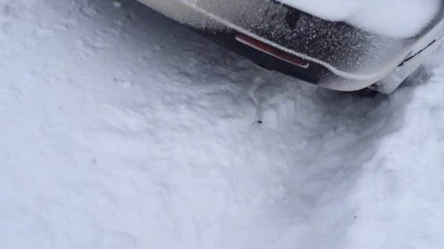 На Кайроне по полю