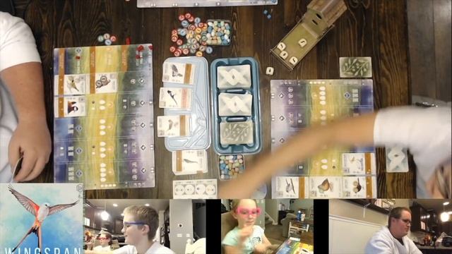 Game Time 008 -  Wingspan, the bird watching game