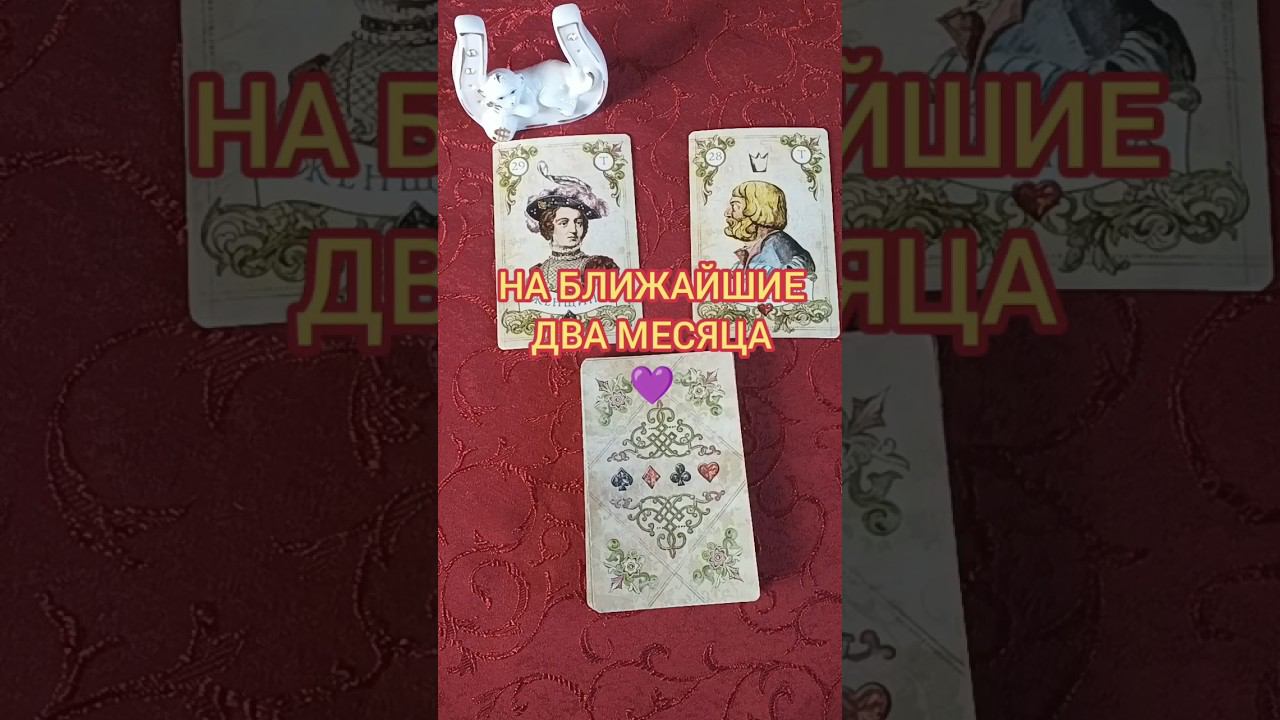 Что Ожидает с Ним? #shorts #тароонлайн #отношения #чтоожидает +7 960 371 94 95 SMS ВАТСАП ТЕЛЕГРАМ
