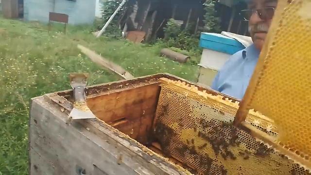 Рутовская система ульев . Когда снимать корпуса.
