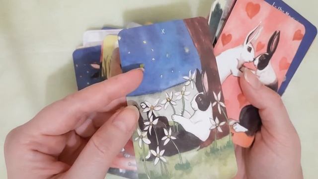 Обзор колоды Таро Кролика с алиэкспресс (the Rabbit Tarot)