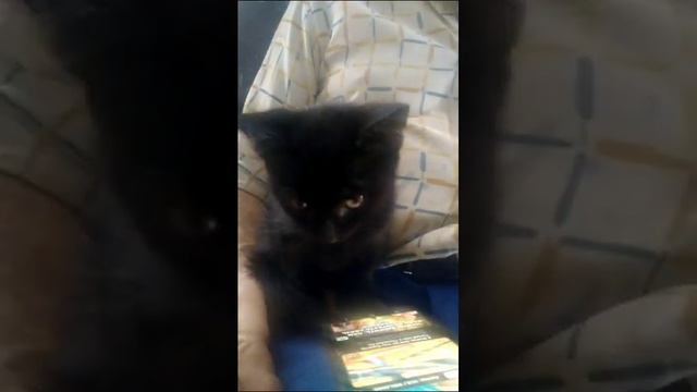А, новости? Давайте что-нибудь другое смотреть будем...