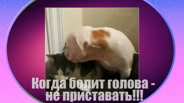 Поздравление для Геннадия с Юбилеем!