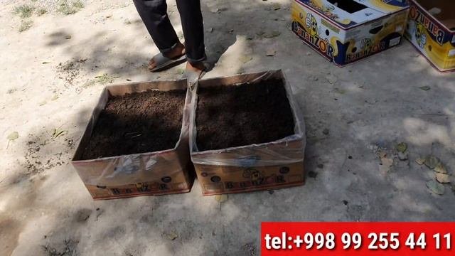 Бешариклик акамиз Россиядан Туриб Бизнес Бошладилар.☎️☎️☎️+998 99 255 44 11