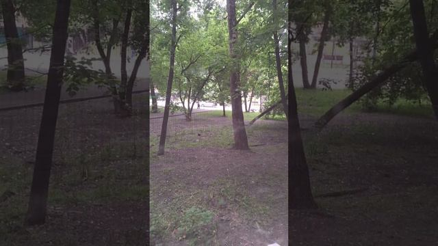 scene_output.mp4