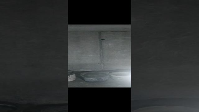 гидроизоляция Краснодар