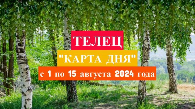 ТЕЛЕЦ - "КАРТА ДНЯ" с 1 по 15 августа 2024 года!!!