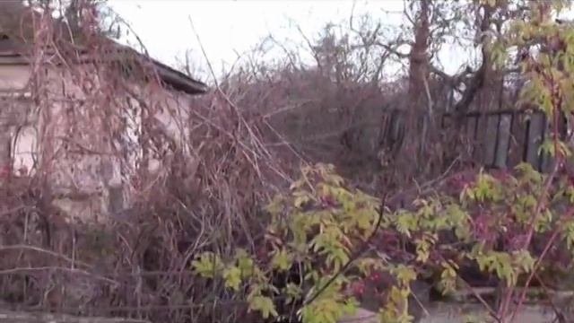 Дачи с точки зрения потенциального покупателя. Моя оценка. Череповец
