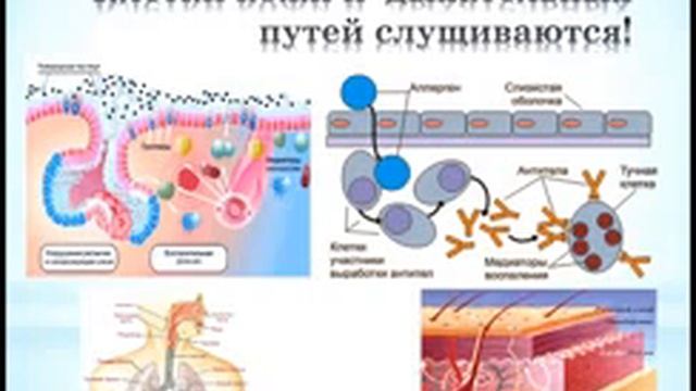 Аллергия и Эраконд