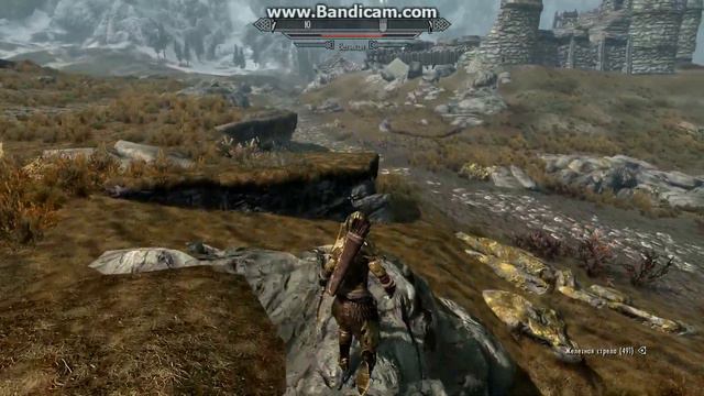 Skyrim  великан