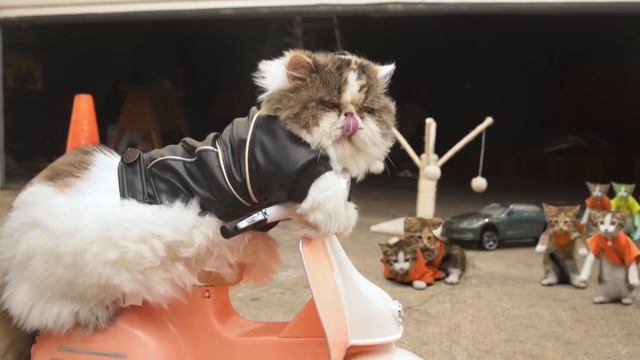2 Fast 2 Furryest