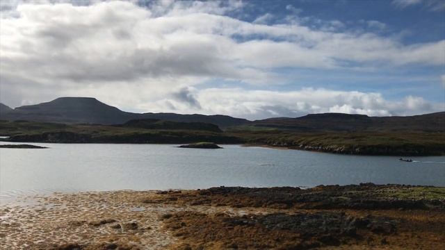 NC500 in a Nissan Micra K11 - Worth it?
