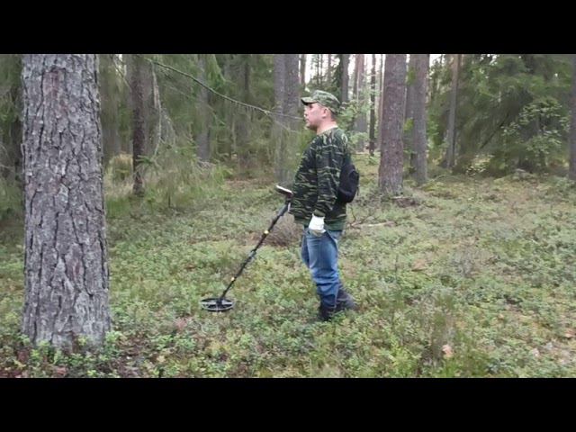 Gold Hunter T-90 Frogman. Работа новой 11d катушки в лесу.