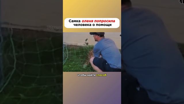 Мамы - они такие! 2