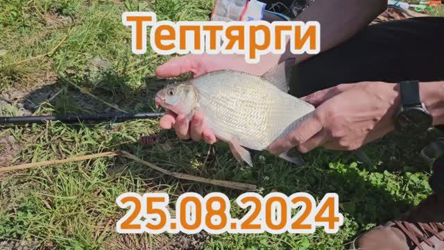 Тептярги Рыбалка Челябинская область. 25.08.2024