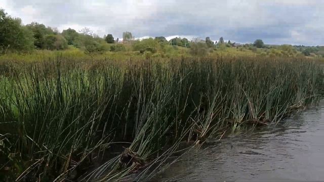 Гастрономическая SUP прогулка по Протве с FreeSUP