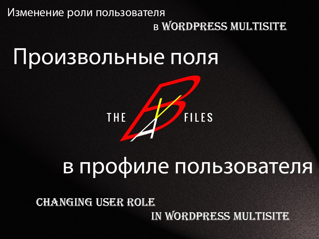 Изменение роли пользователя в WordPress multisite