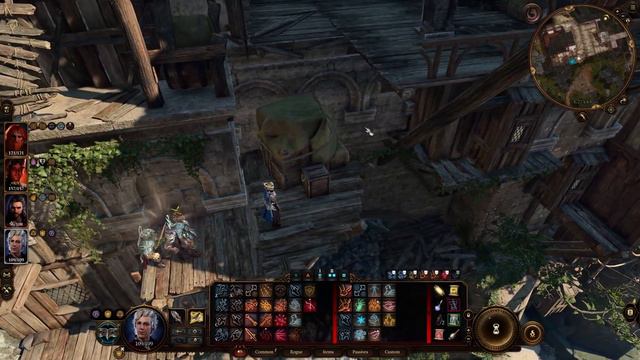 How to bypass the Steel Watcher Guard in South Span Checkpoint to Wyrm's Crossing in Baldur's Gate