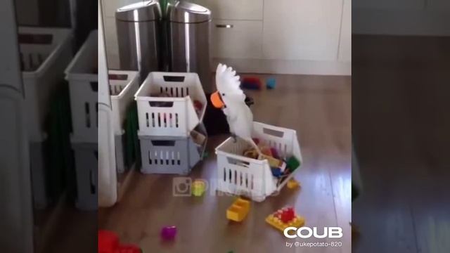 На карантине.mp4